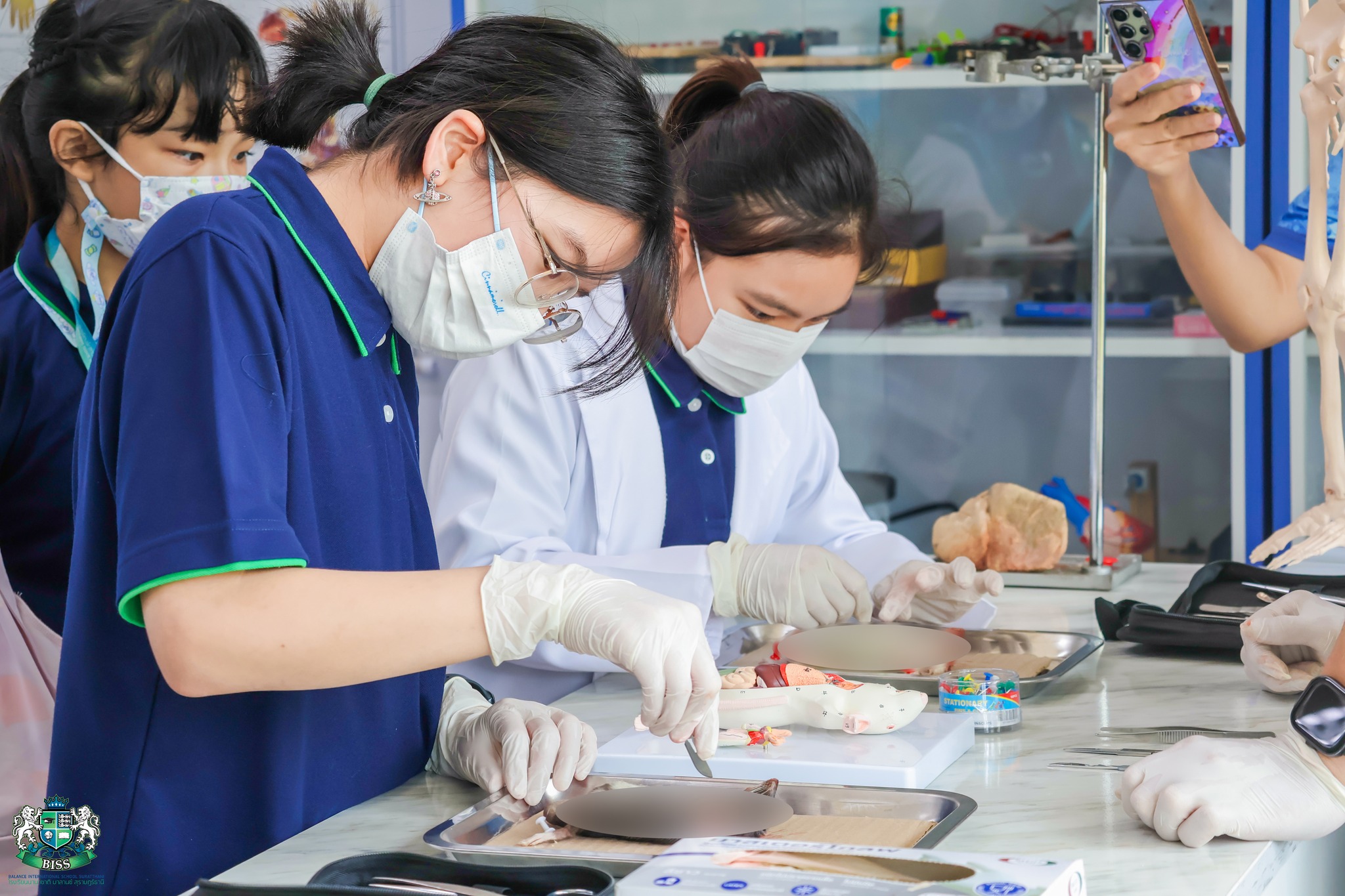 MICE DISSECTION: SCIENCE IN ACTION - Balance International School